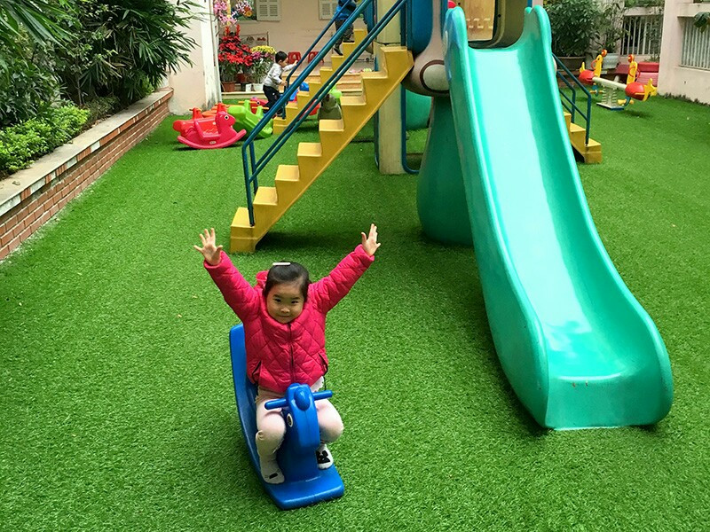 Cỏ trải sân trường